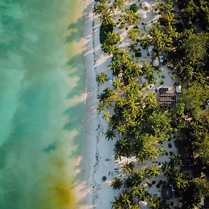 Cielo Y Selva Mexico